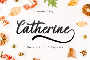 Catherine Script: A Designer’s Practical Review
