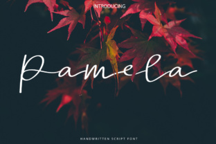 Elevating Editorial Design with Pamela Script Font