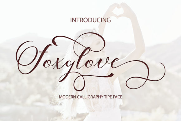 Foxglove Script Font: A Designer’s Campaign Review
