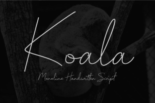 Koala Script Font: Elevating Small Business Branding