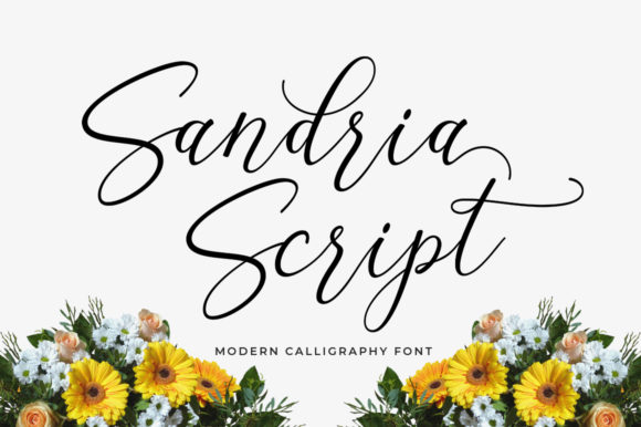 Sandria Script Font: Elevating Feminine Brand Identity