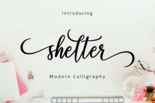 Shelter Script: A Modern Typeface for Web Design